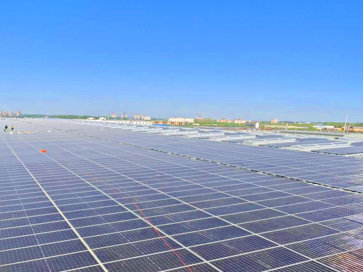 图片4.jpg 图片4.jpg