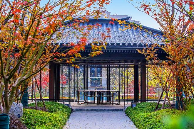 图片4.jpg 图片4.jpg